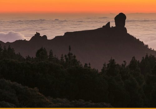 Gran Canaria actieve vakantie