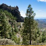 Vakantie Gran Canaria wandelen