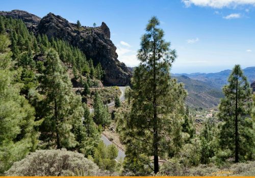 Vakantie Gran Canaria wandelen